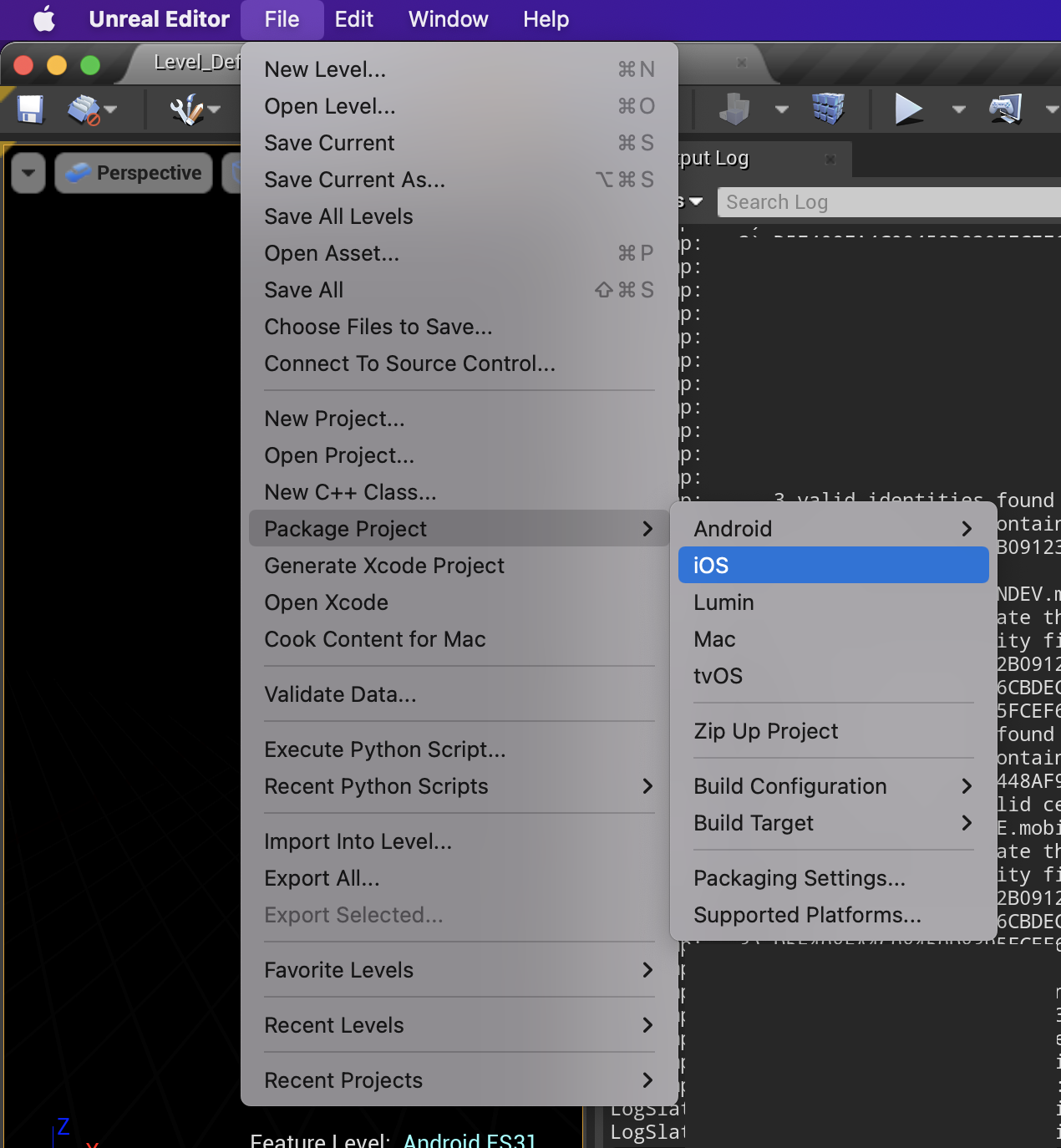 Unreal Engine package for iOS command